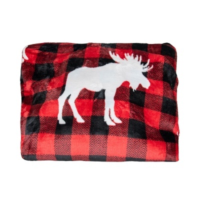 ini_6599_ecz_11_bkr_01